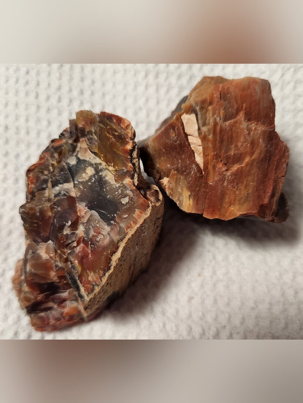 NATURAL RAINBOW PETRIFIED WOOD OF ARIZONA.  AS SHOWN IN PHOTOS.